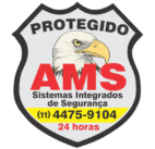 amsseg.com